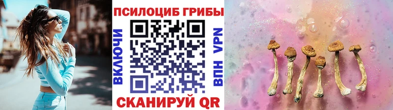 MEGA зеркало  Пролетарск  Галлюциногенные грибы Magic Shrooms  где купить наркоту 